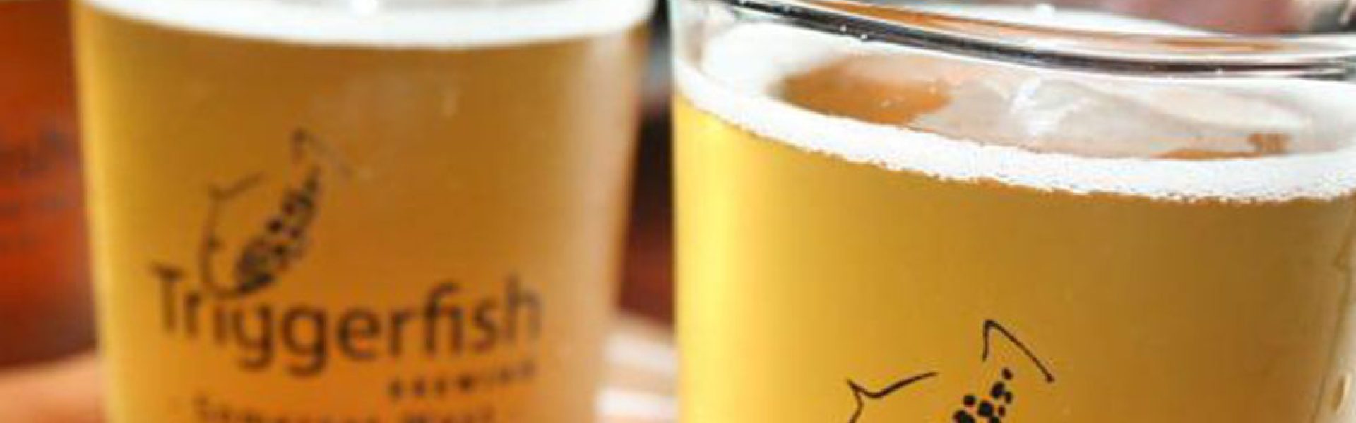 triggerfish-brewing-stonefish-1 triggerfish-brewing-stonefish-1